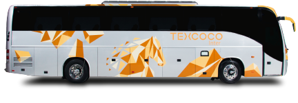 Autobus economico Texcoco